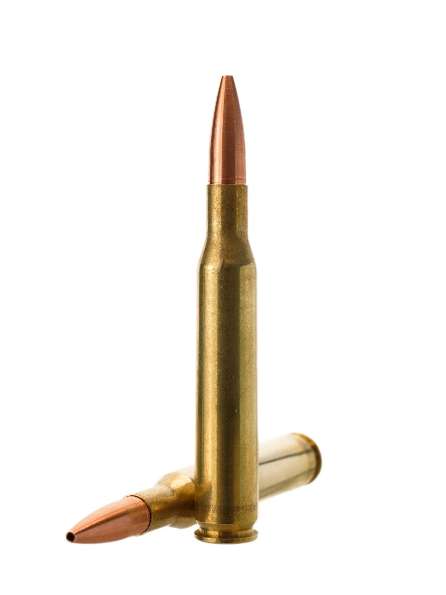 copper hollow point loaded rifle ammunition