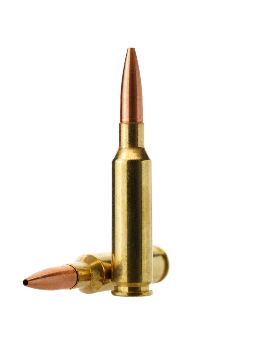 copper hollow point loaded rifle ammunition