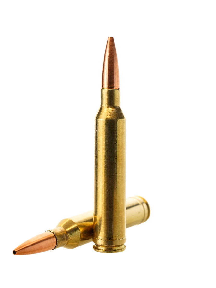 copper hollow point loaded rifle ammunition