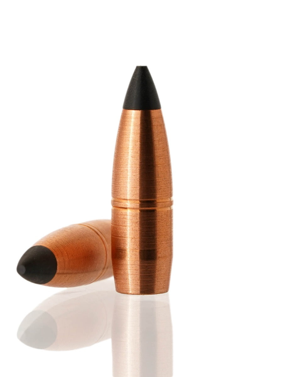 copper hollow point tipped rifle bullet