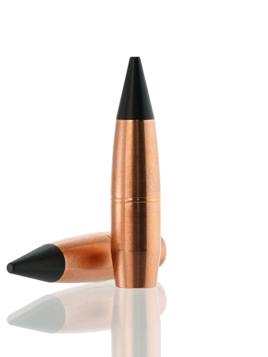 copper hollow point tipped bullet