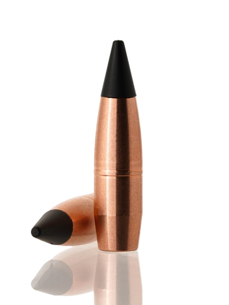 copper hollow point tipped rifle bullet