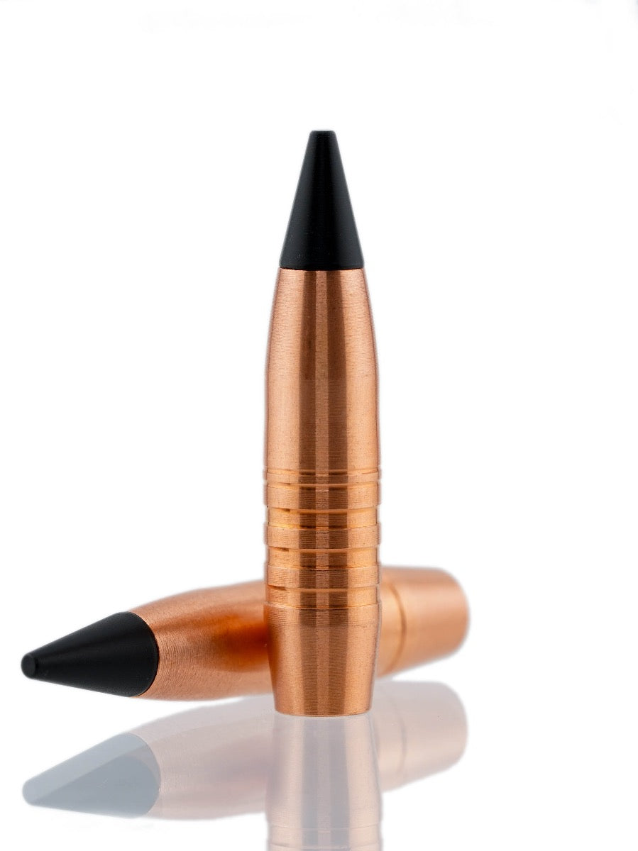 hollow point tipped copper bullet