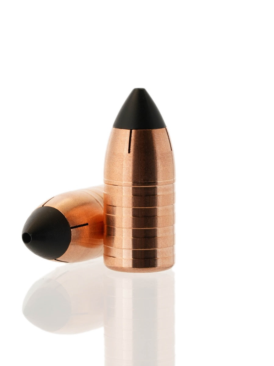 copper hollow point tipped bullet