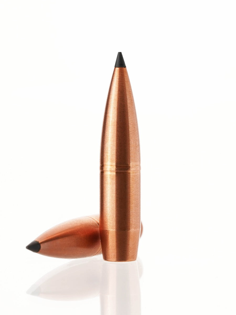 copper hollow point tipped rifle bullet