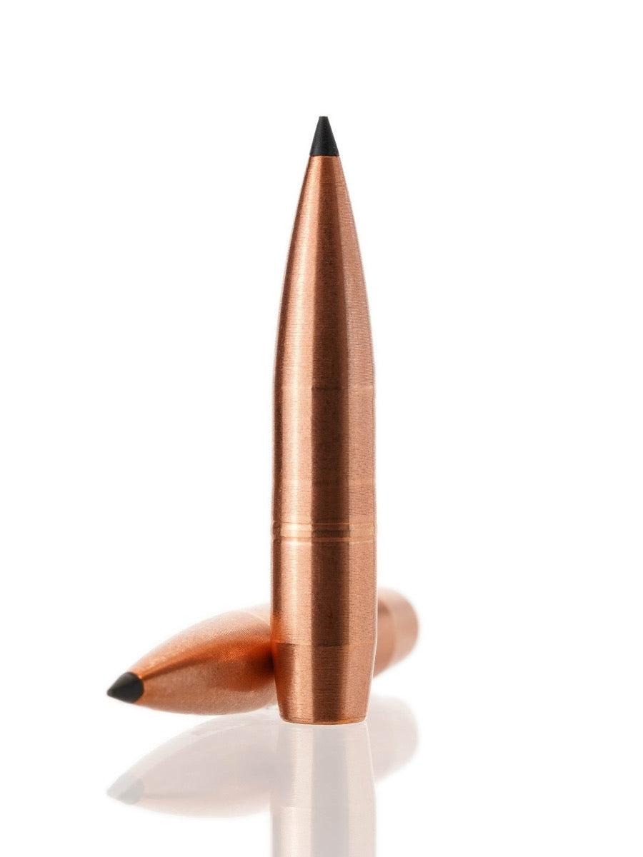 copper hollow point tipped bullet