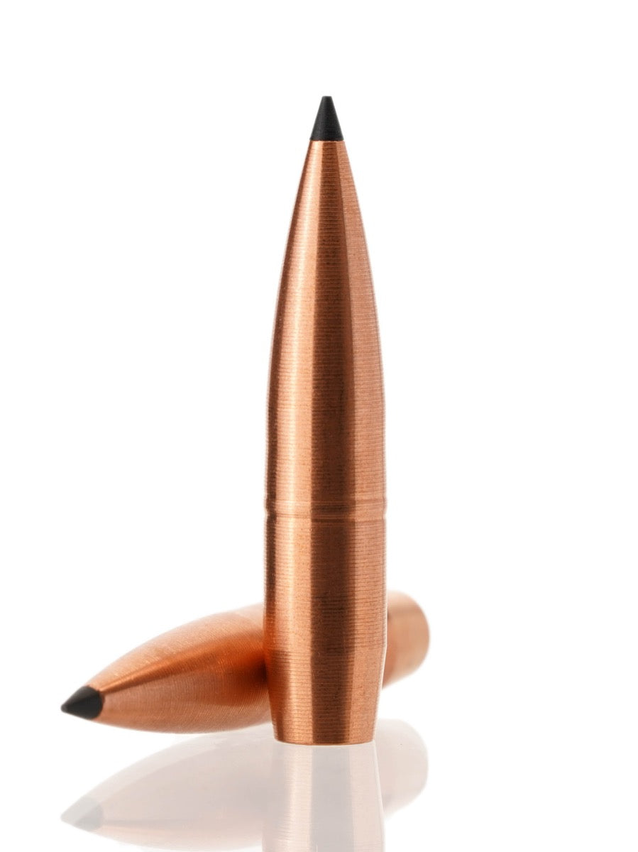 copper hollow point tipped rifle bullet