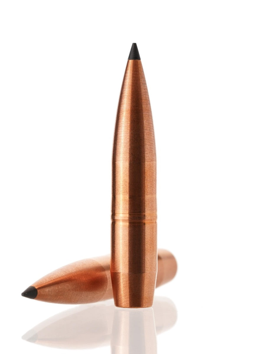 copper hollow point tipped bullet