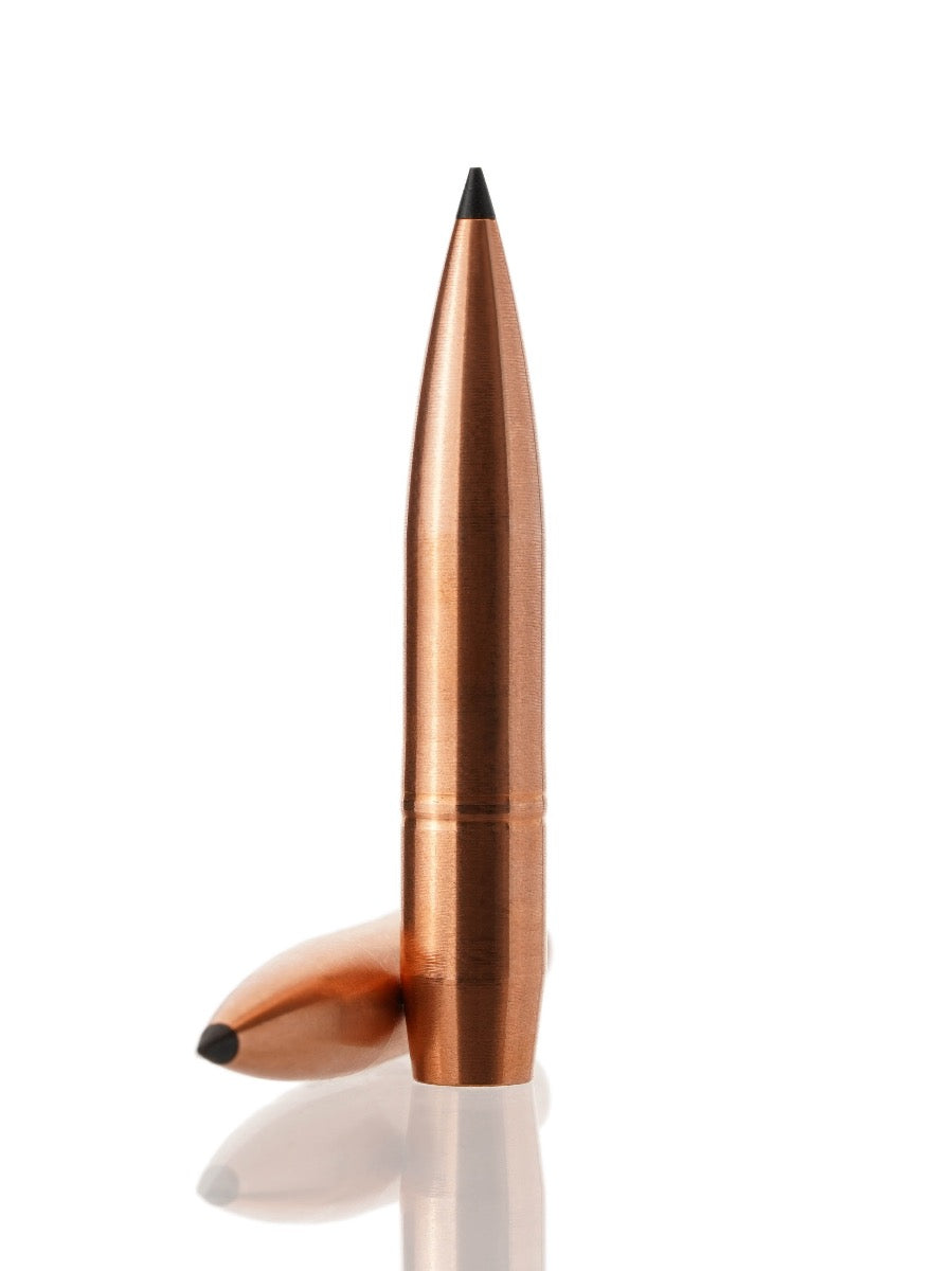 copper hollow point tipped rifle bullet