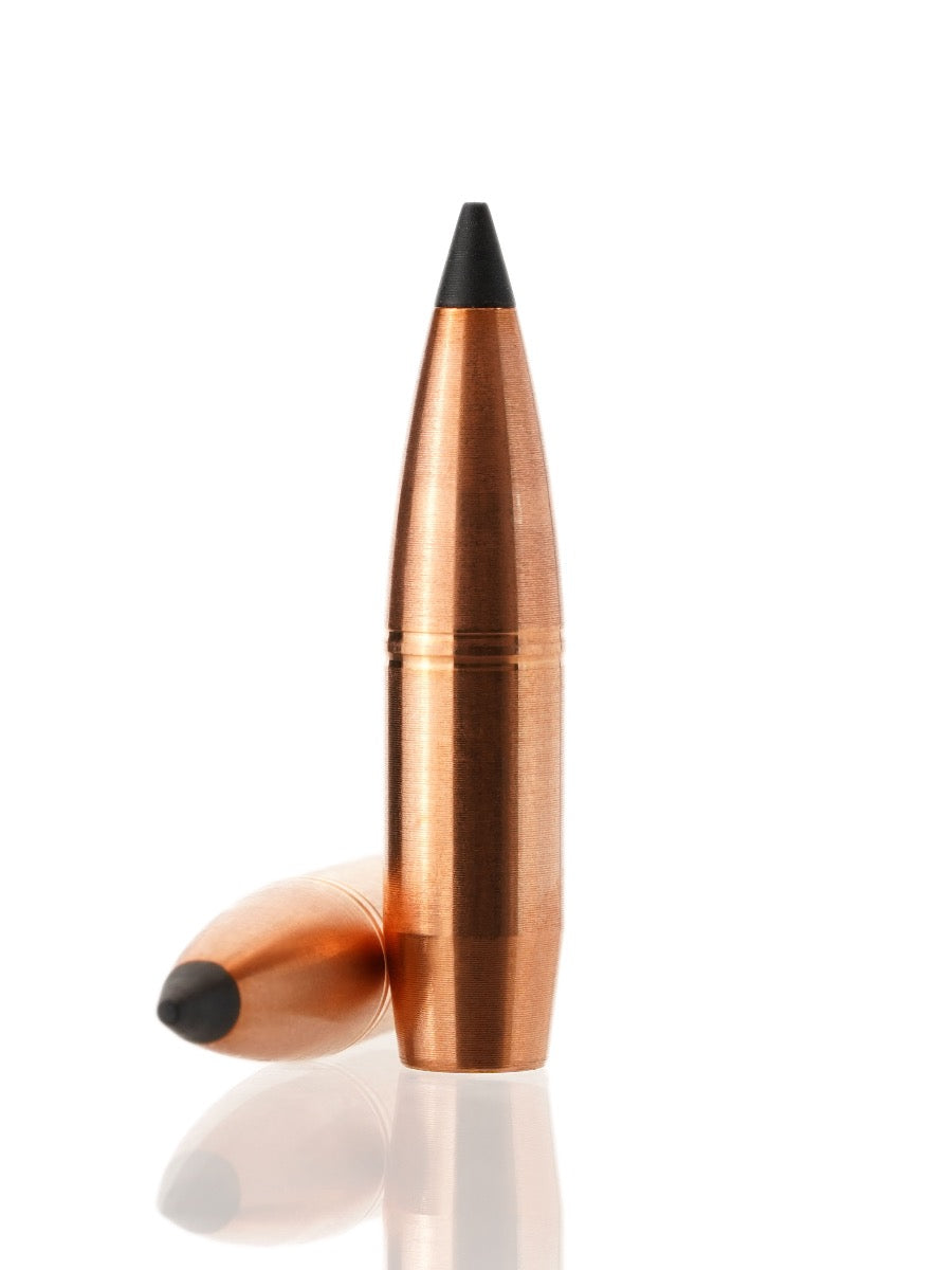 copper hollow point tipped rifle bullet