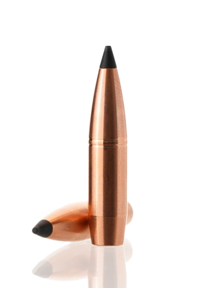 copper hollow point rifle bullet