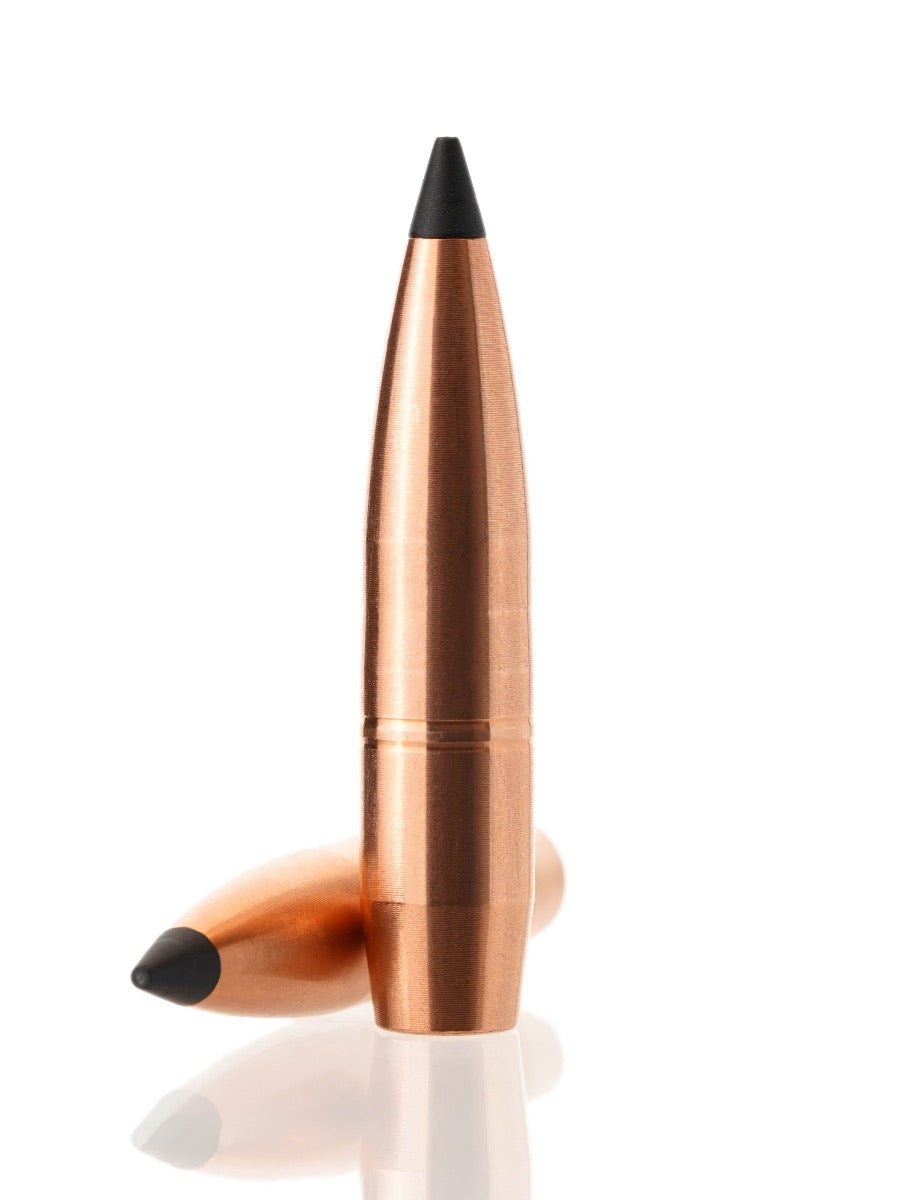 copper hollow point tipped rifle bullet