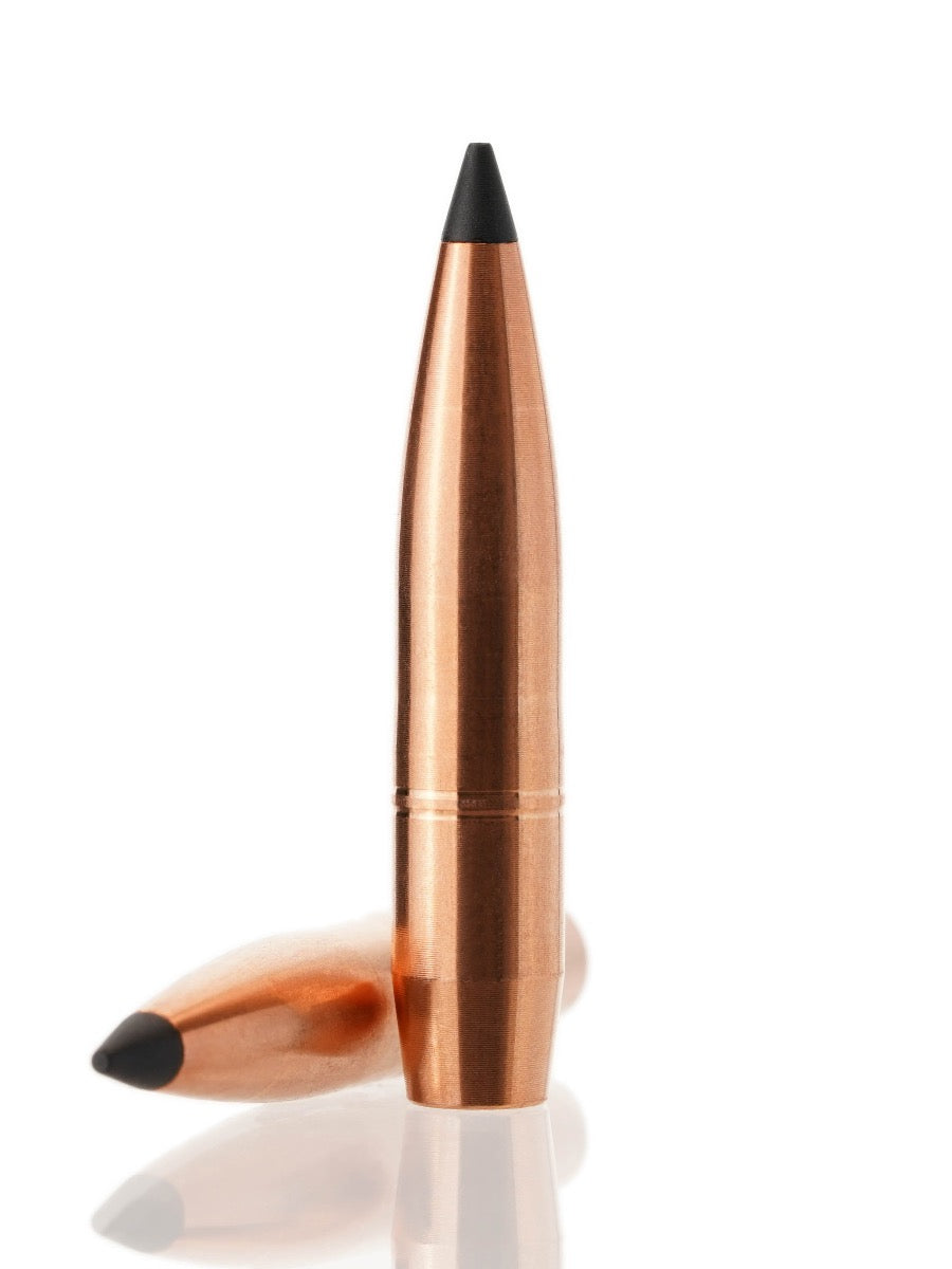 copper hollow point tipped rifle bullet