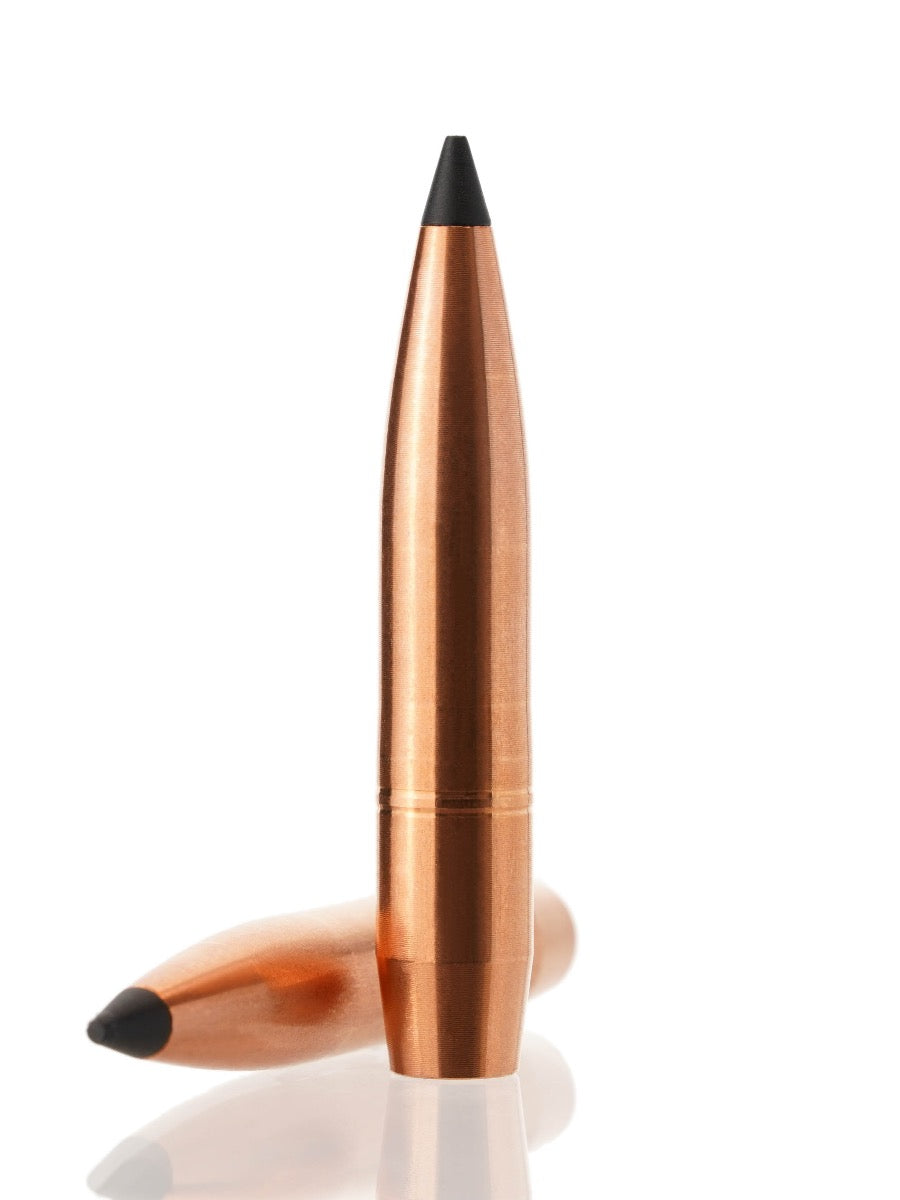 copper hollow point tipped rifle bullet