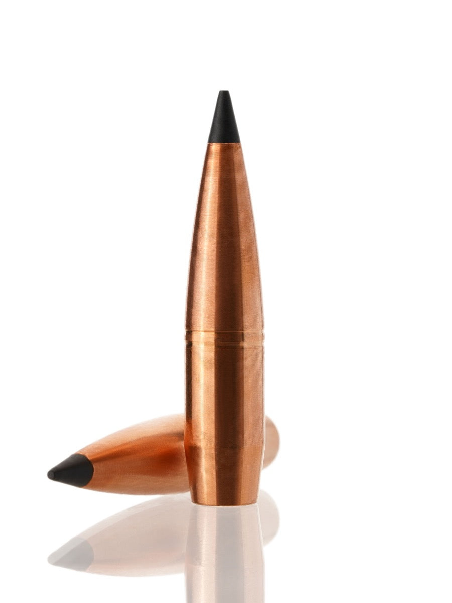 copper hollow point tipped rifle bullet