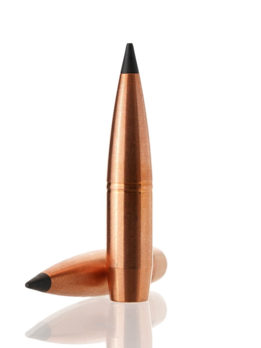 copper hollow point tipped rifle bullet