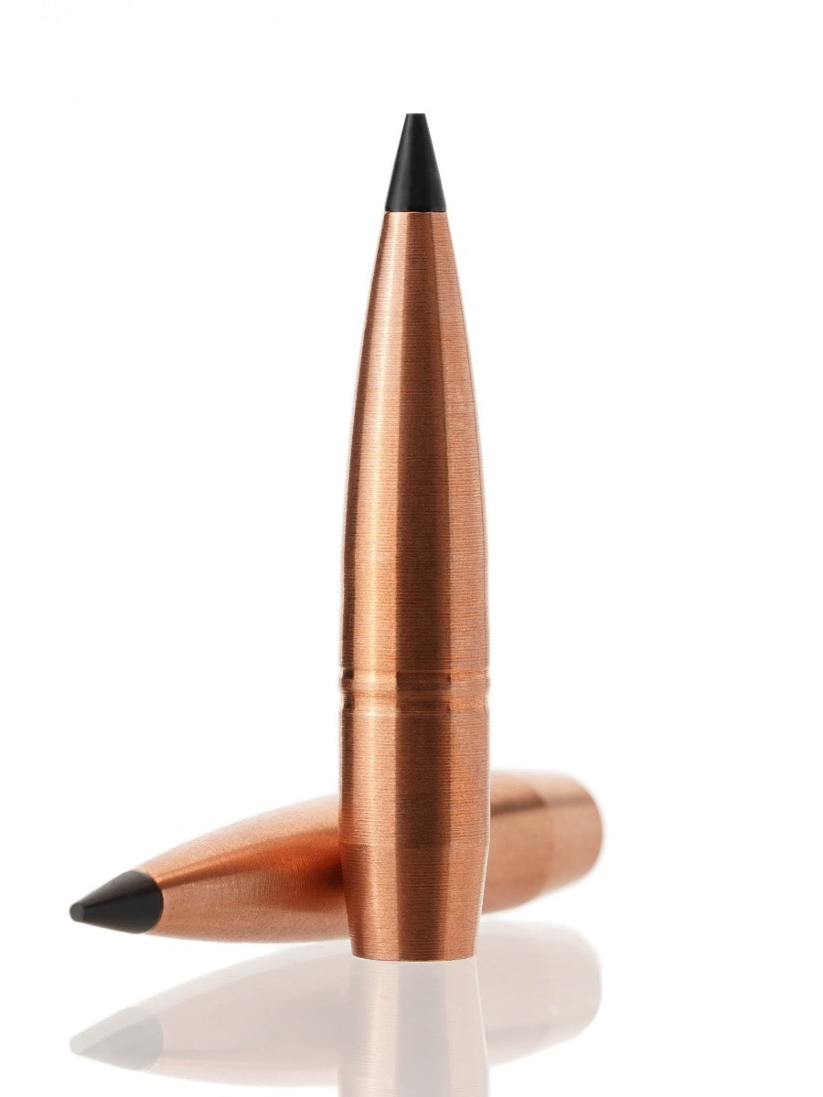 copper hollow point tipped rifle bullet