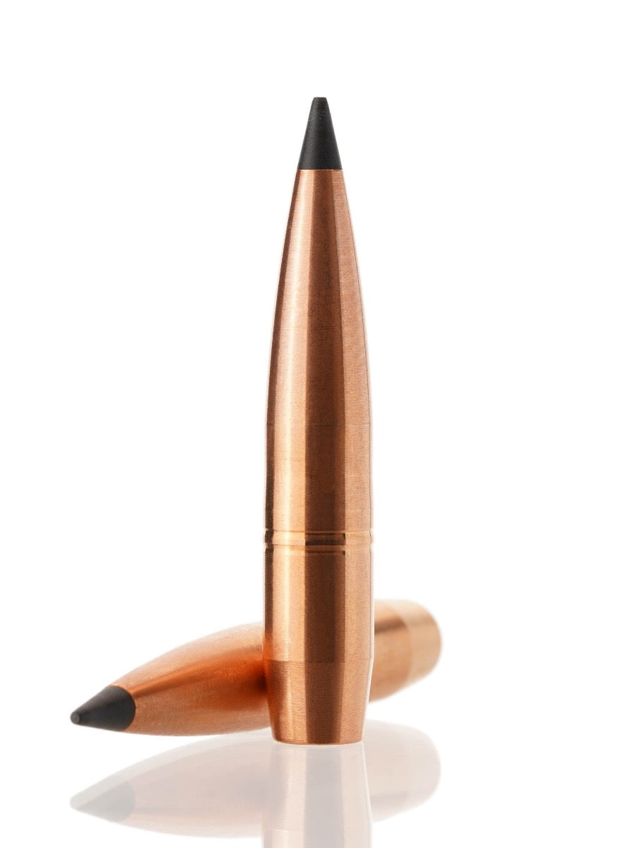 copper hollow point tipped rifle bullet