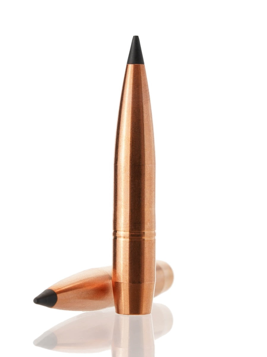 copper hollow point tipped rifle bullet