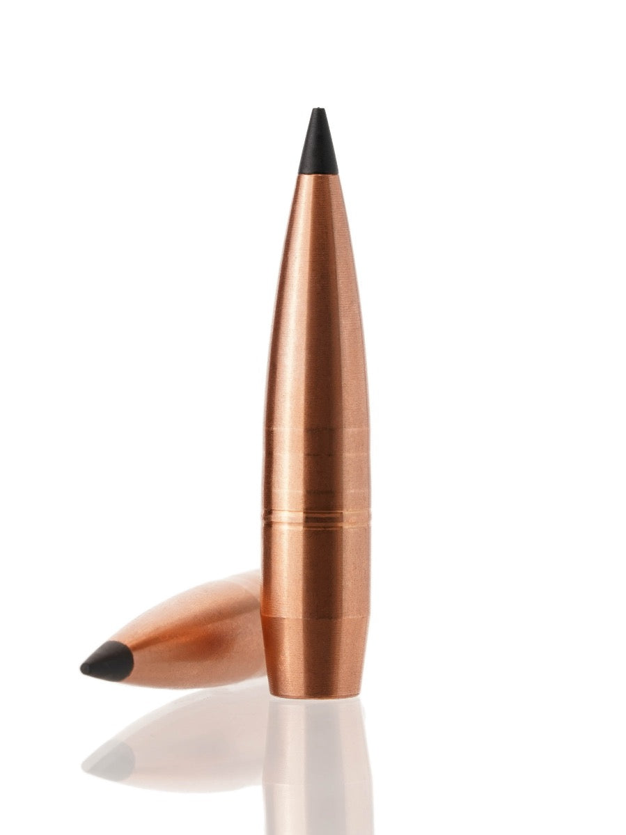 copper hollow point tipped rifle bullet