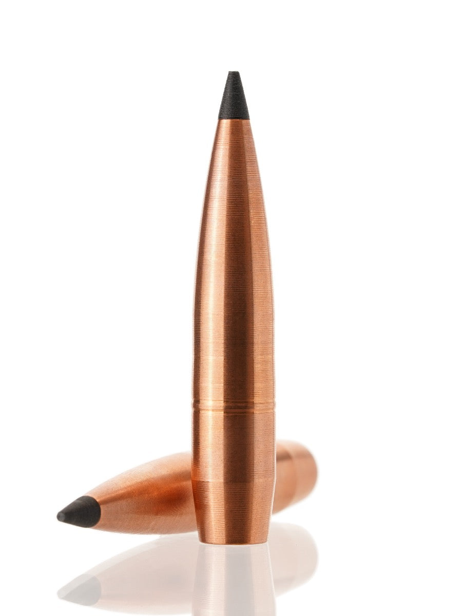 copper hollow point tipped rifle bullet