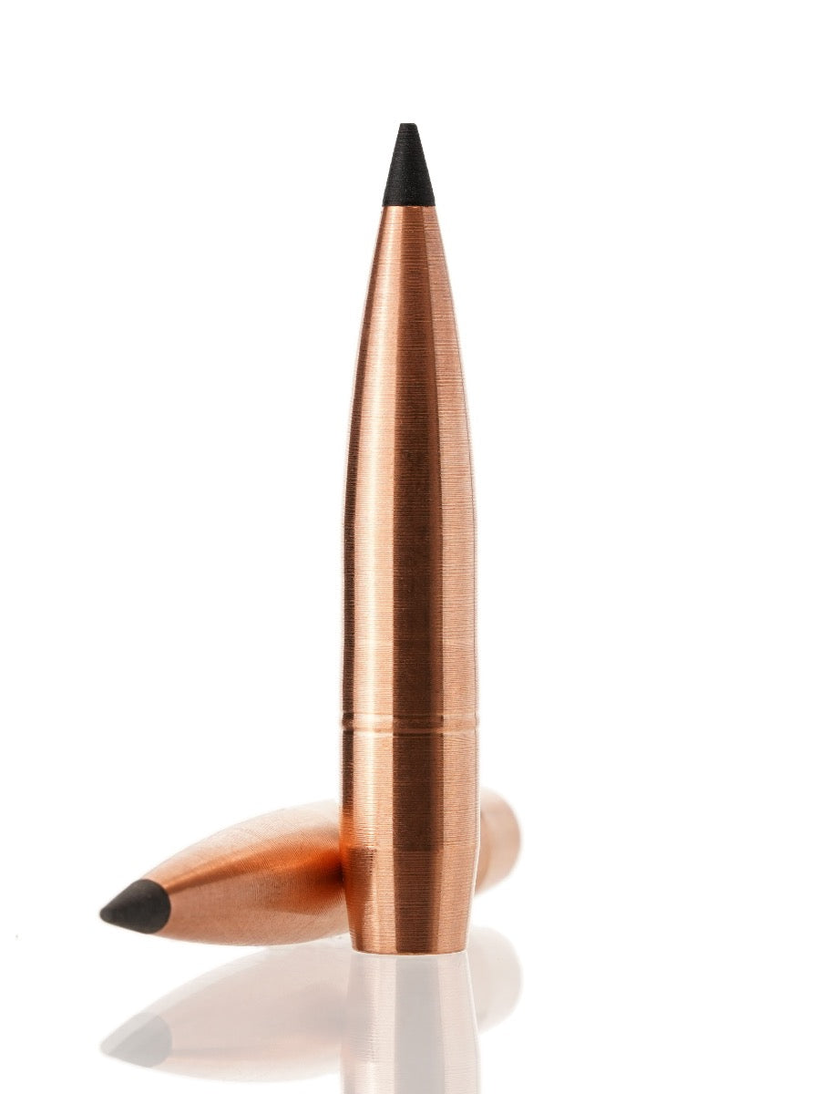 copper hollow point tipped rifle bullet