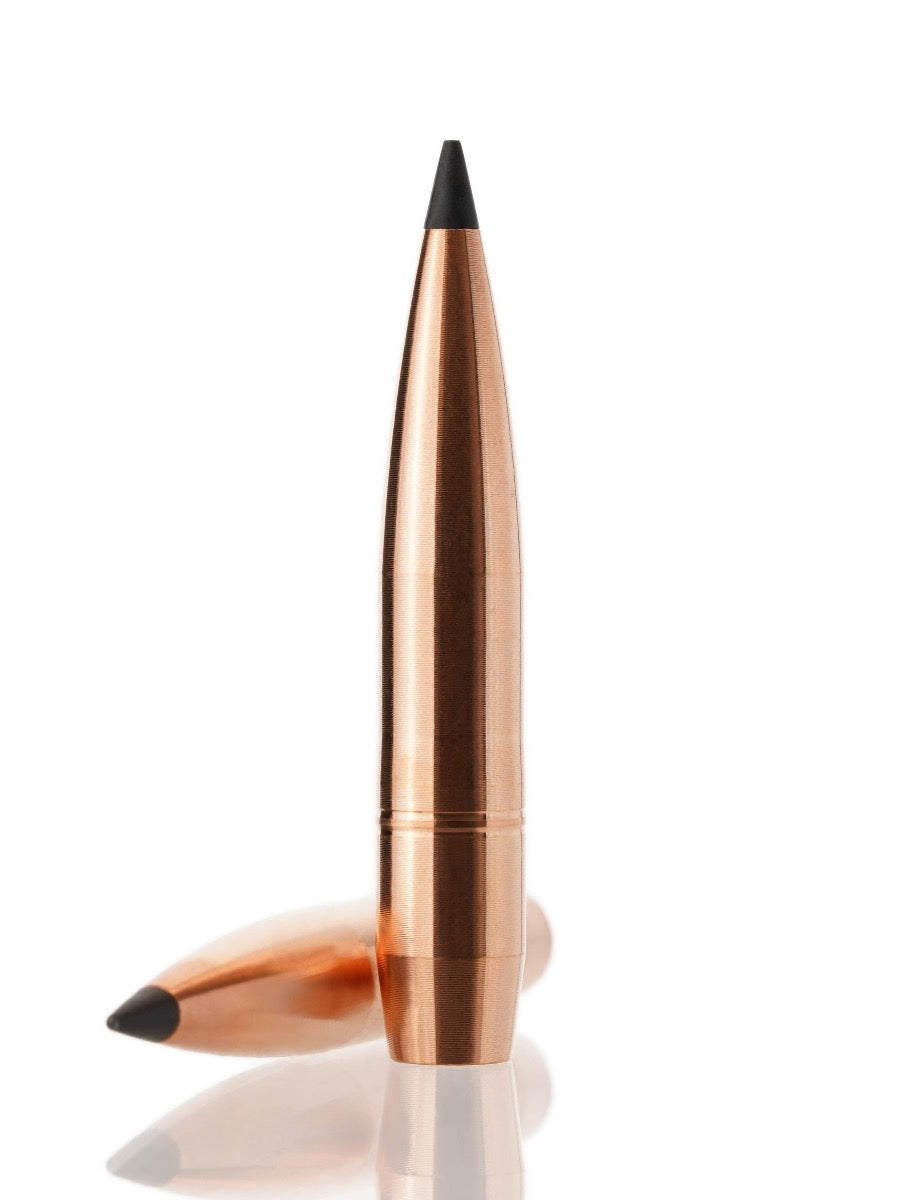 copper hollow point tipped rifle bullet