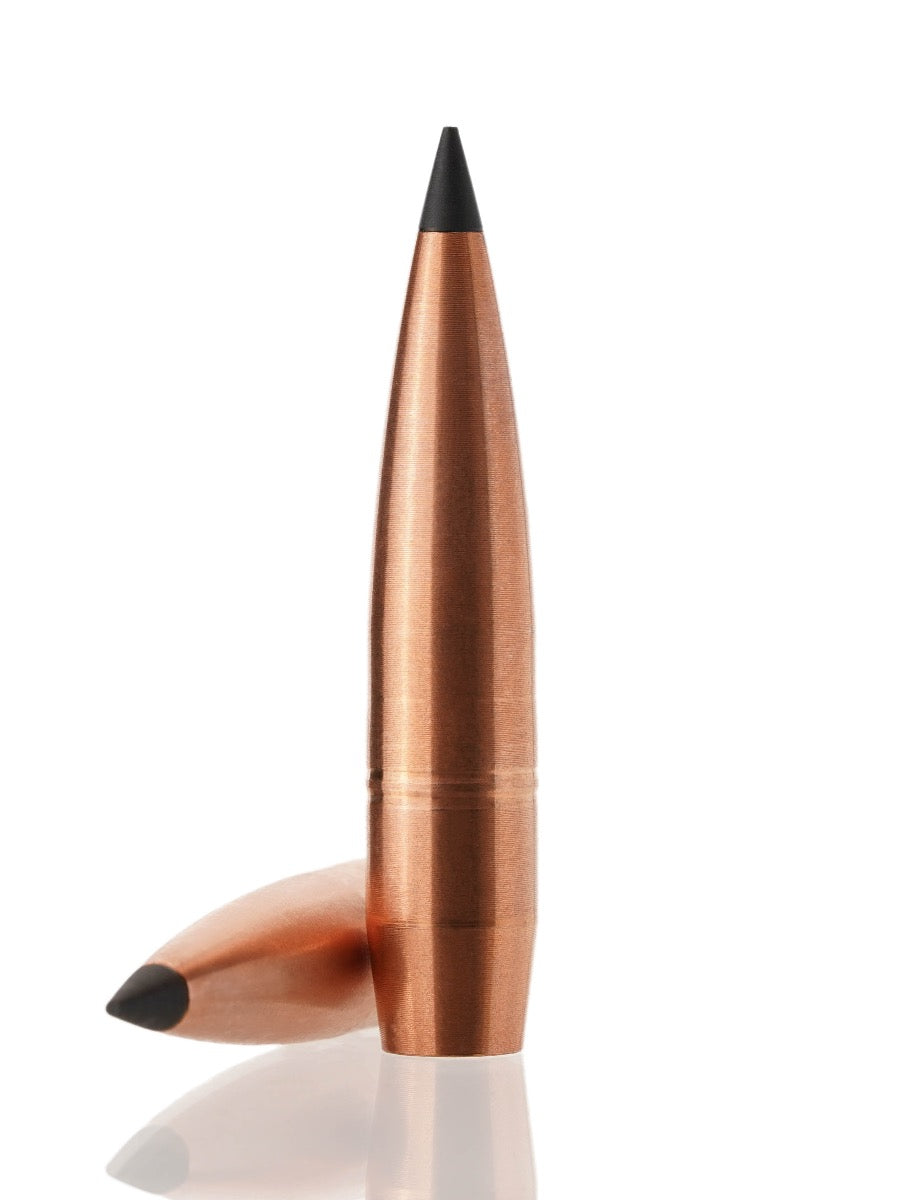 copper hollow point tipped rifle bullet