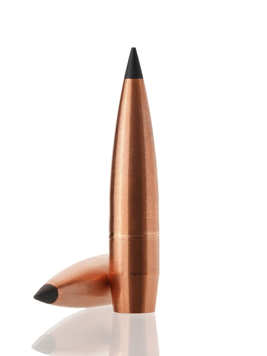 copper hollow point tipped rifle bullet