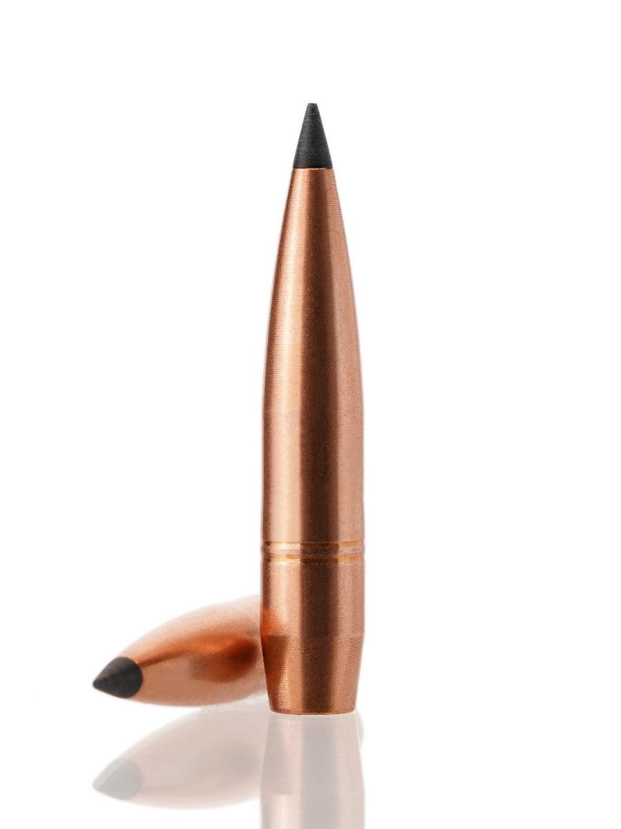 copper hollow point tipped rifle bullet