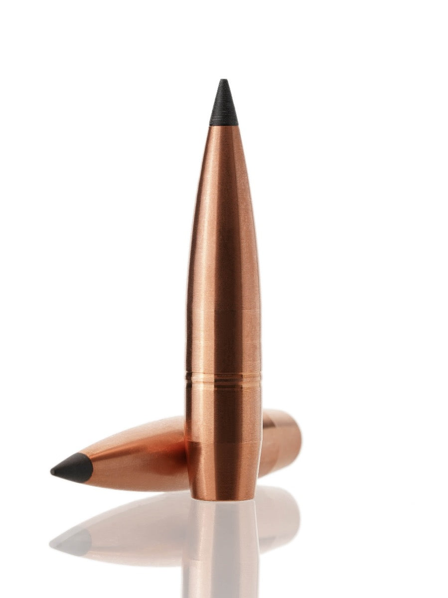 copper hollow point tipped rifle bullet