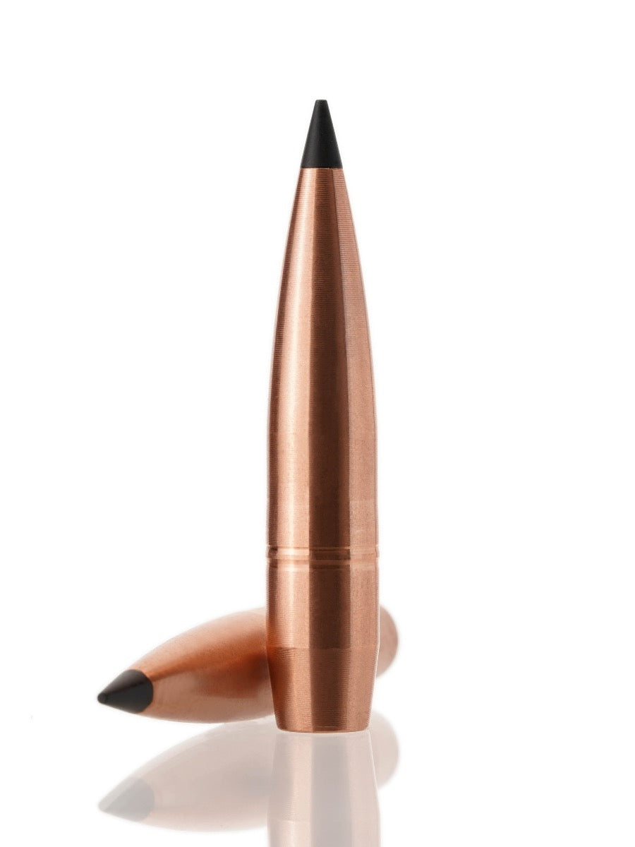 copper hollow point tipped rifle bullet