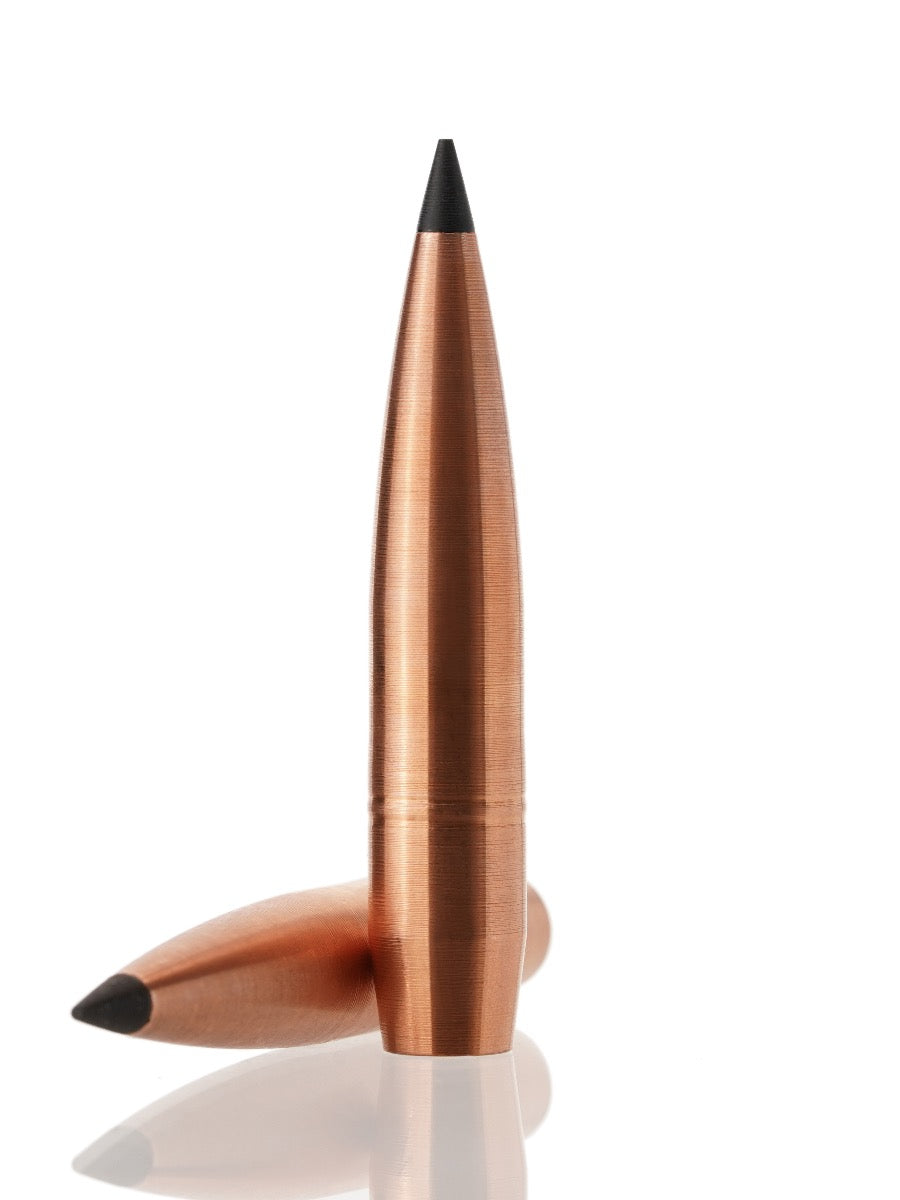 copper hollow point tipped rifle bullet