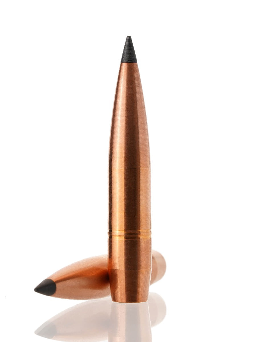 copper hollow point tipped rifle bullet