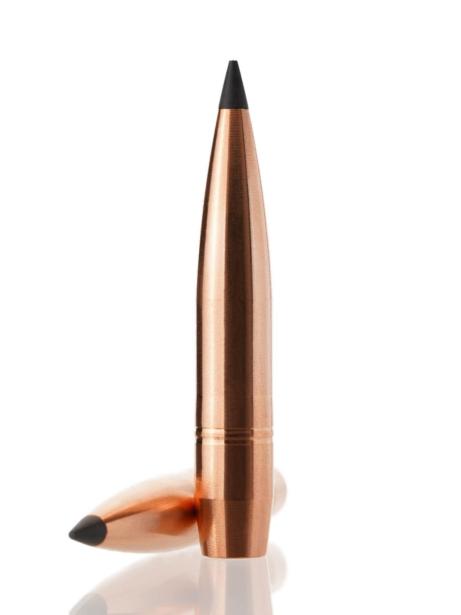 copper hollow point tipped rifle bullet