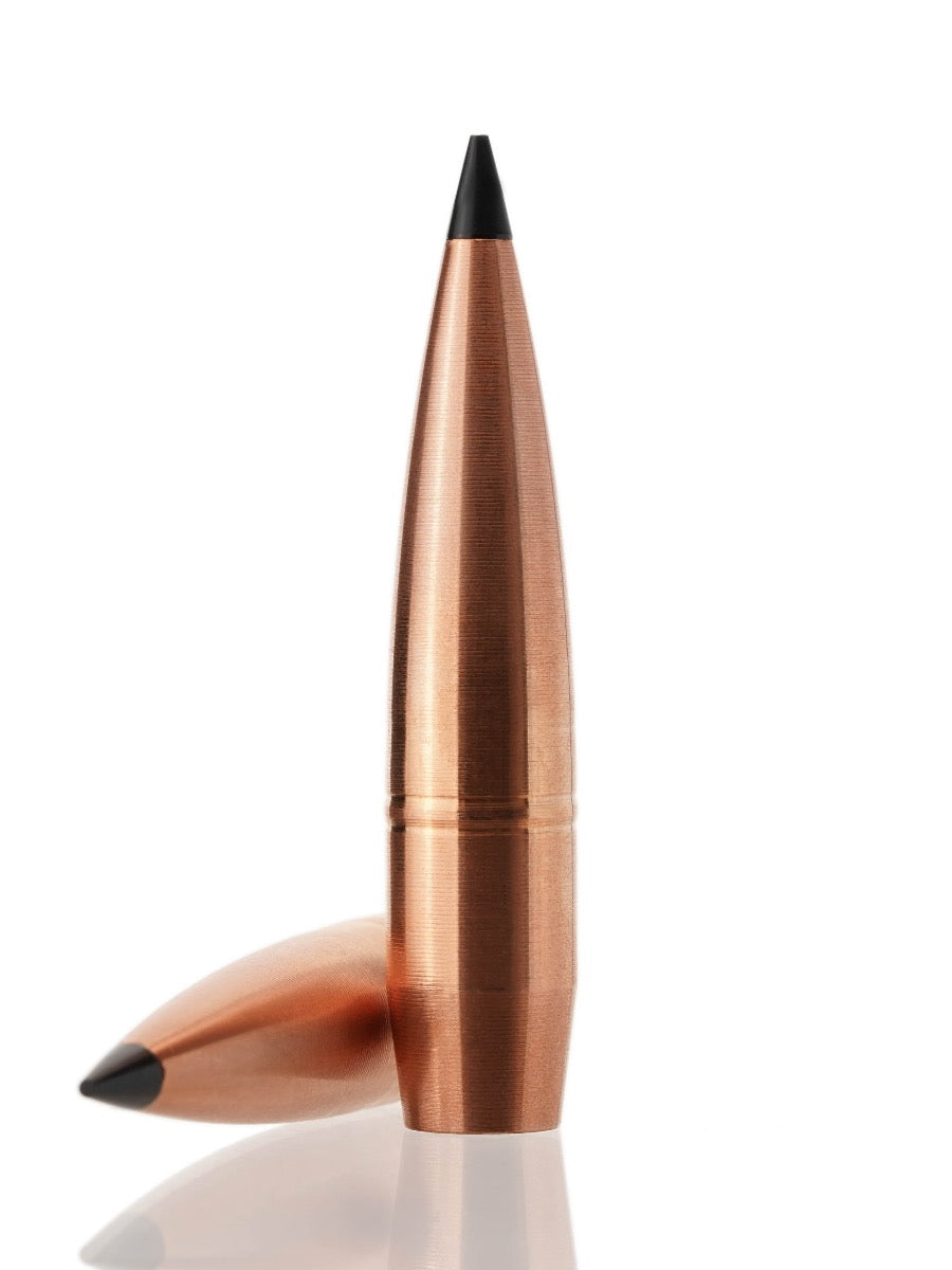 copper hollow point tipped rifle bullet