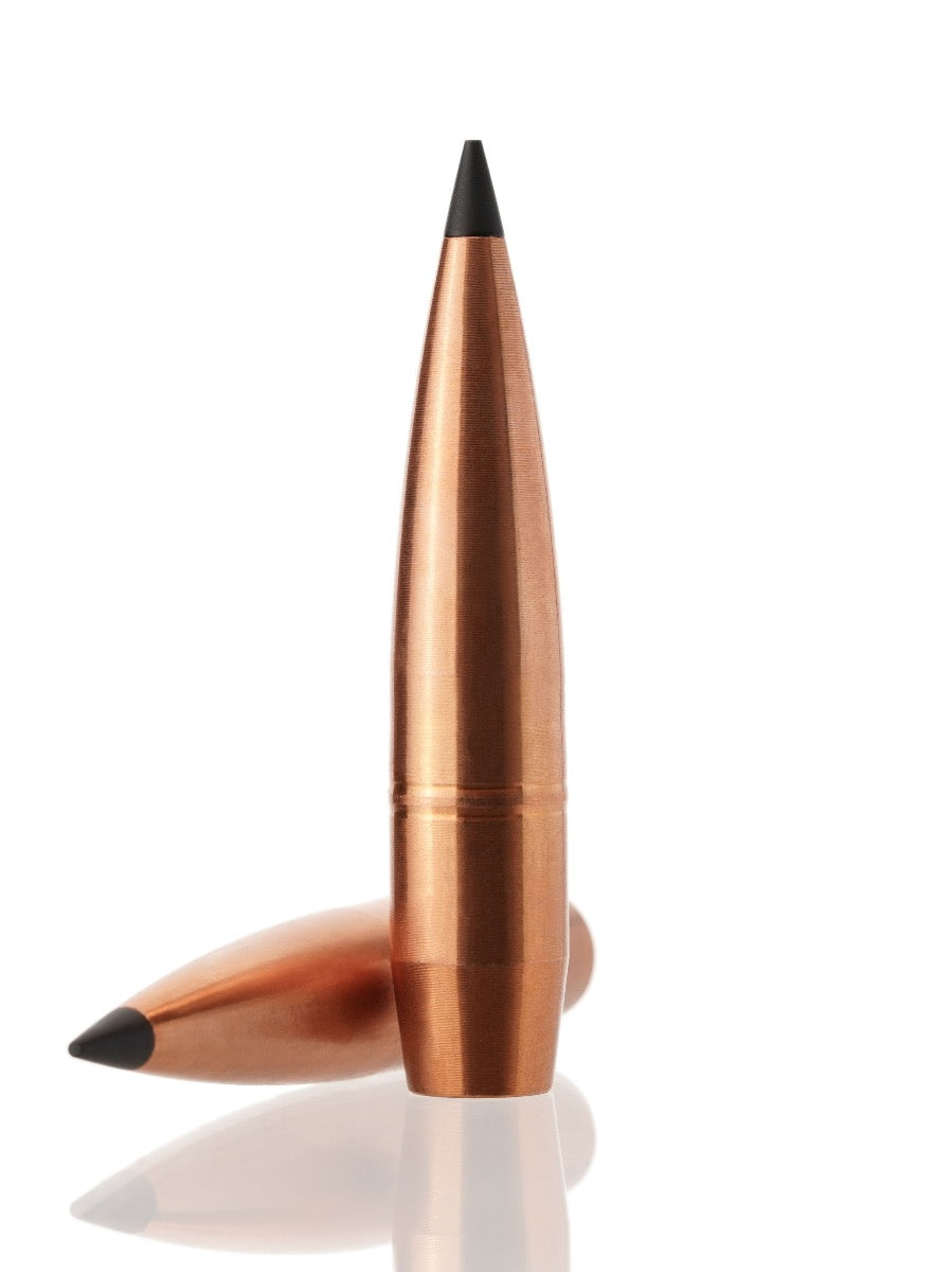 copper hollow point tipped rifle bullet