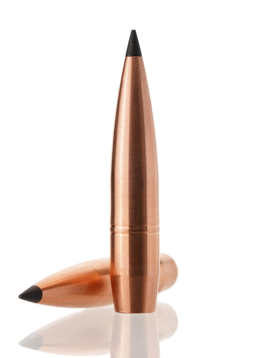 copper tipped hollow point rifle bullet