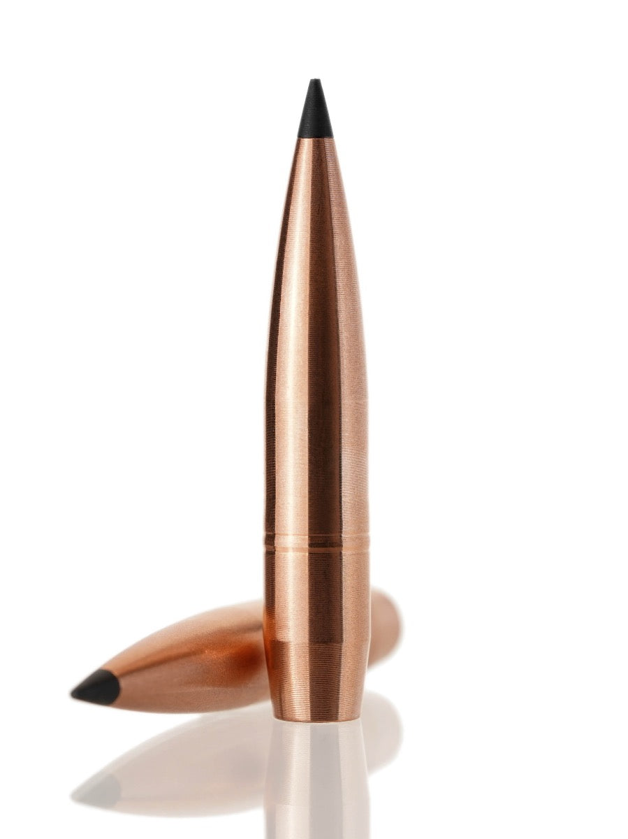 copper hollow point tipped rifle bullet