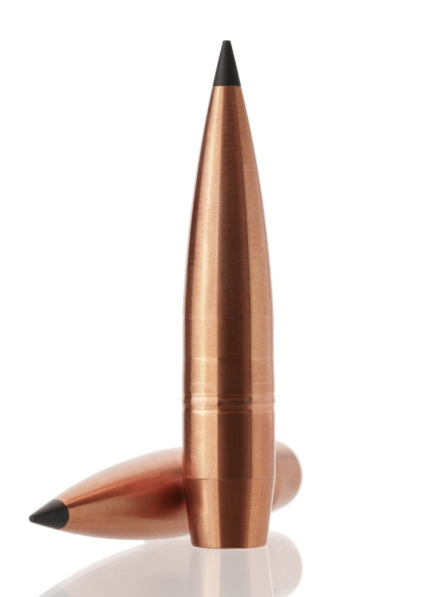 copper hollow point tipped rifle bullet