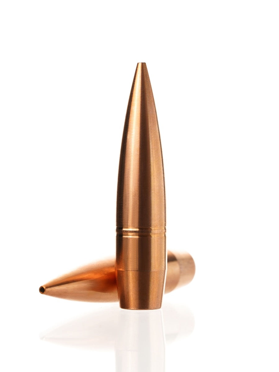 copper hollow point rifle bullet