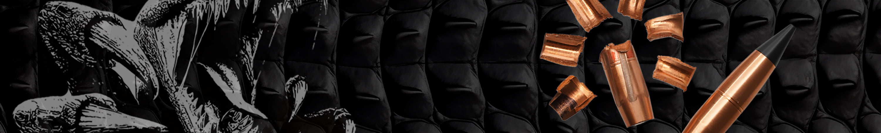 ESP (Enhanced System Projectile) Raptor