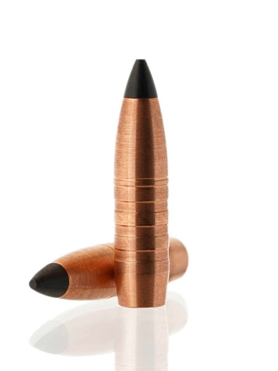 copper hollow point tipped rifle bulet