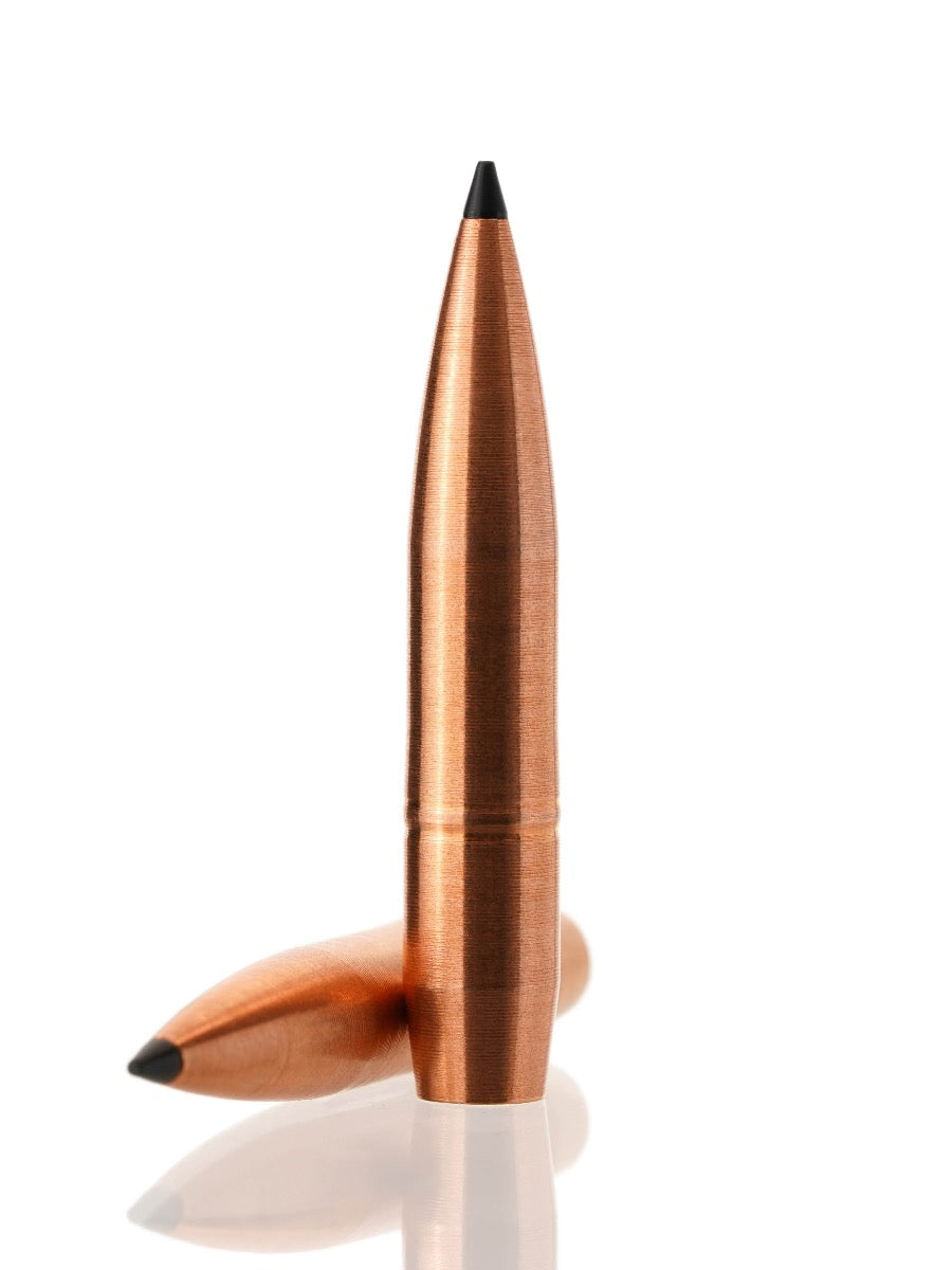 tipped hollow point copper rifle bullet