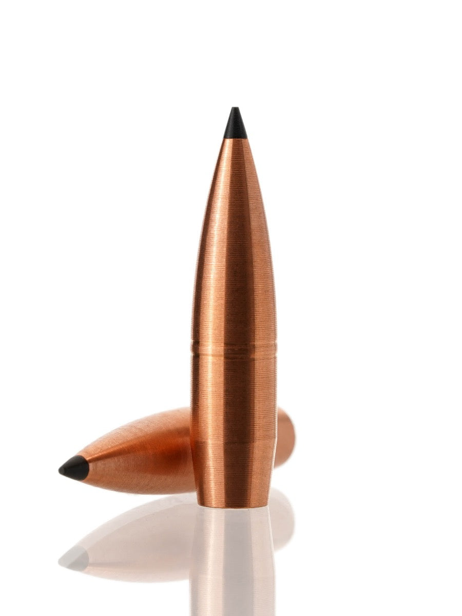 copper hollow point tipped bullet