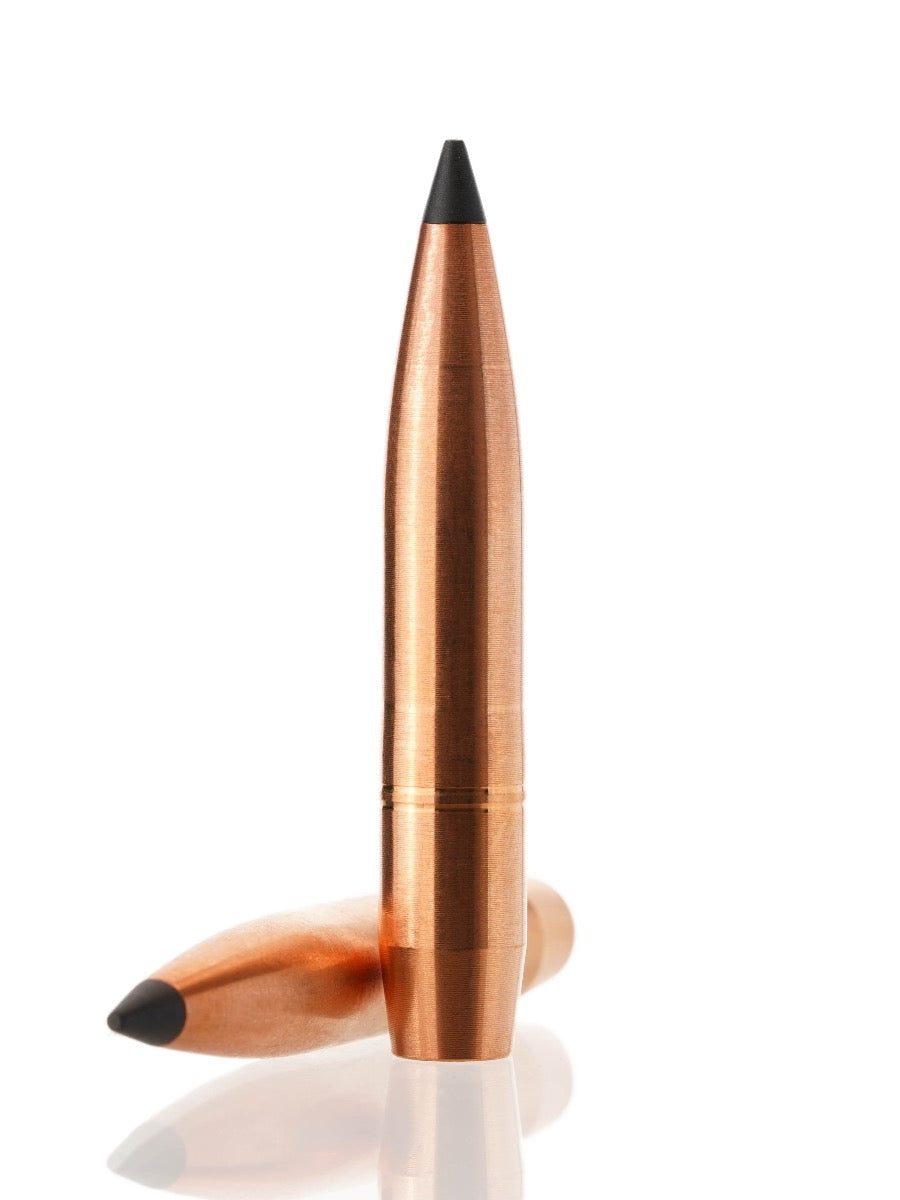 copper hollow point tipped rifle bullet