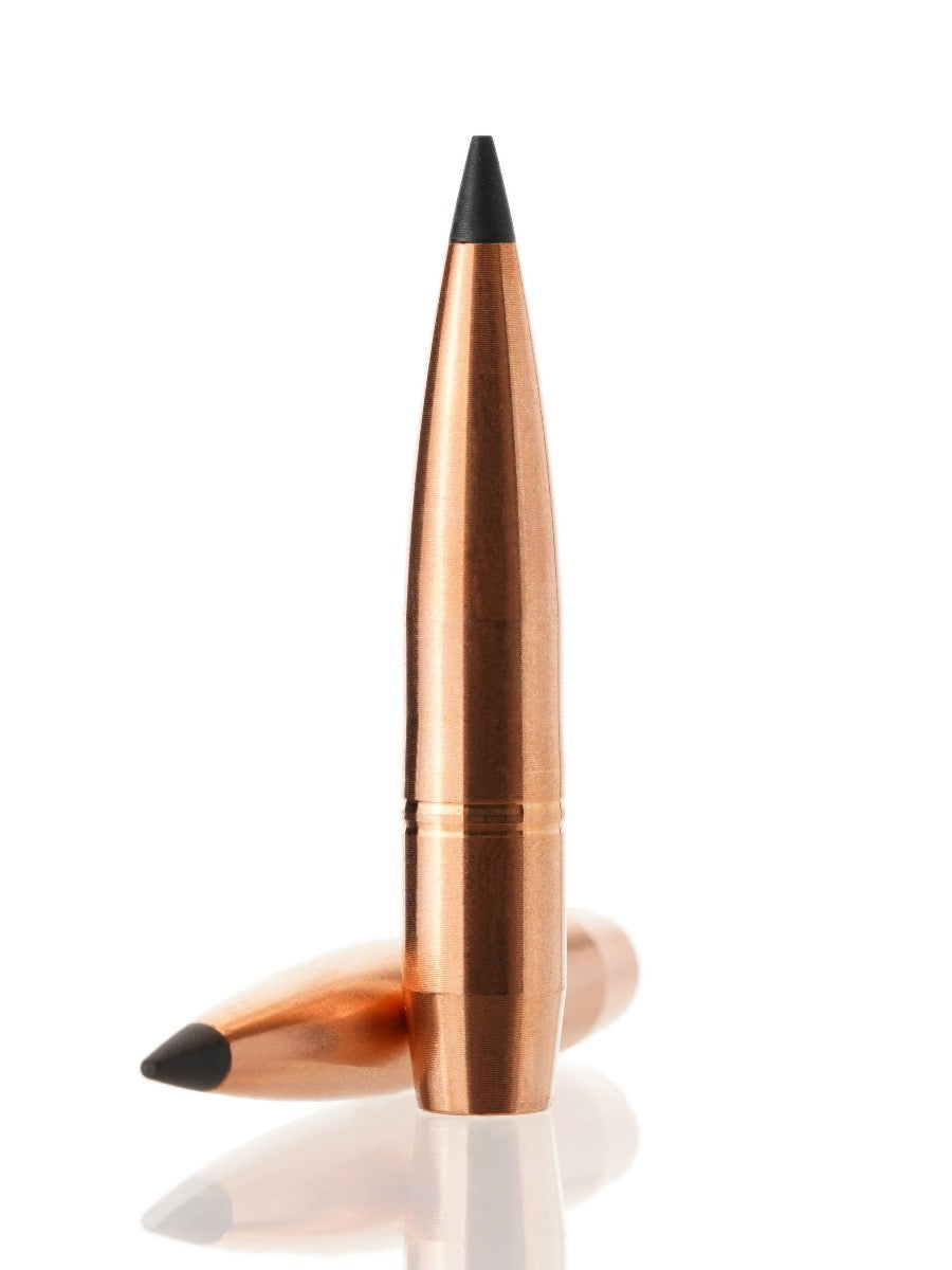 copper hollow point tipped rifle bullet