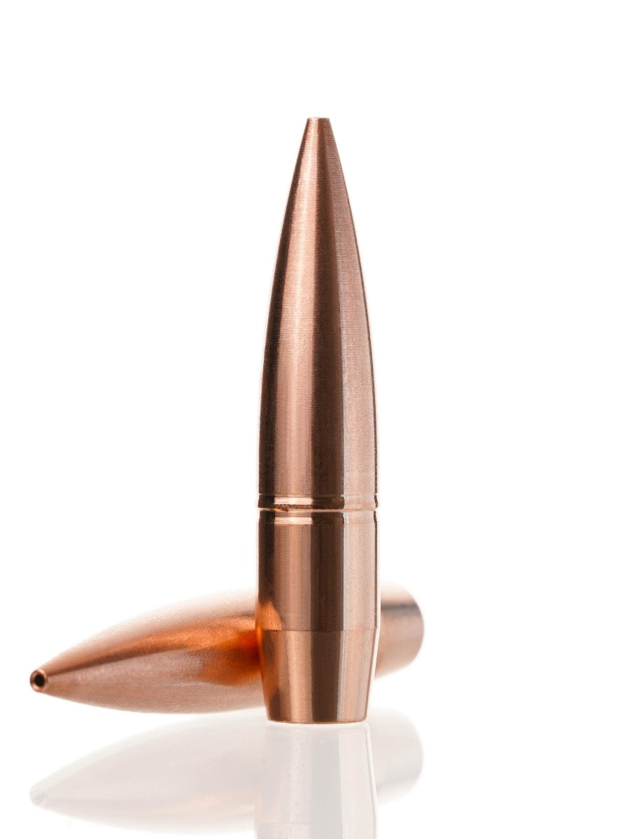 copper hollow point rifle bullet